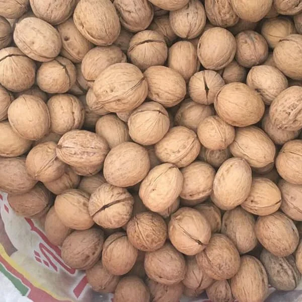 Walnut and Walnut Kernel