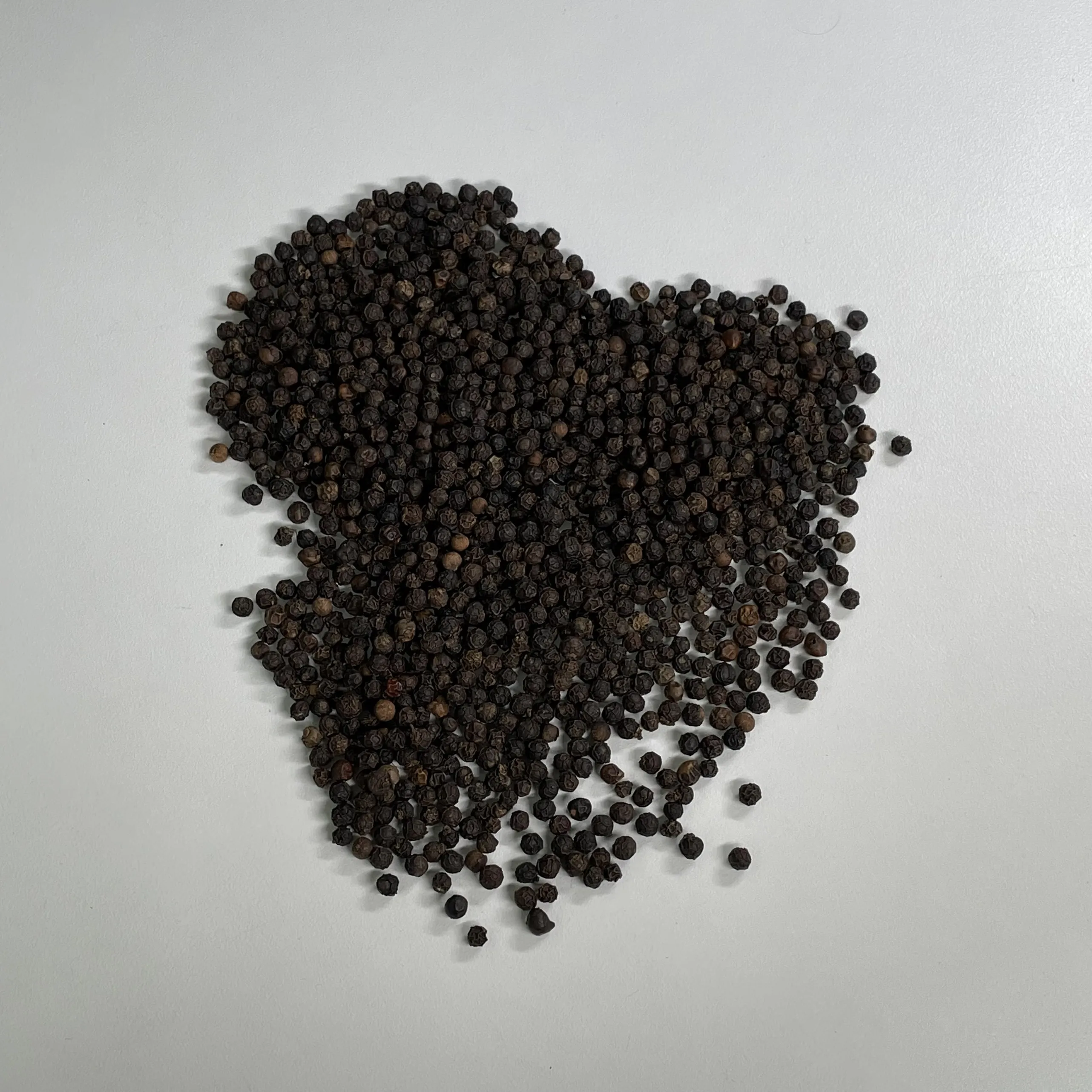 black pepper rate 550GL MC vietnam spices black pepper grinder ceylon souce black pepper 550 gl