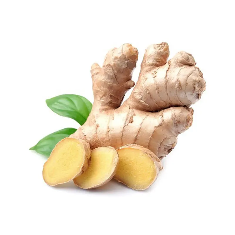 Indian Fresh Ginger Single Spices & Herbs Wholesale Supplier