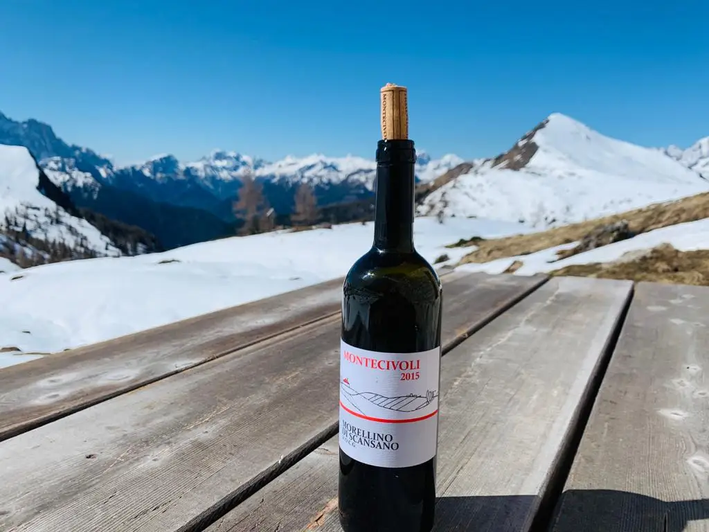 HIgh Quality Italian Organic Morellino di Scansano Red Wine 75 Cl  For Aperitif and Dine