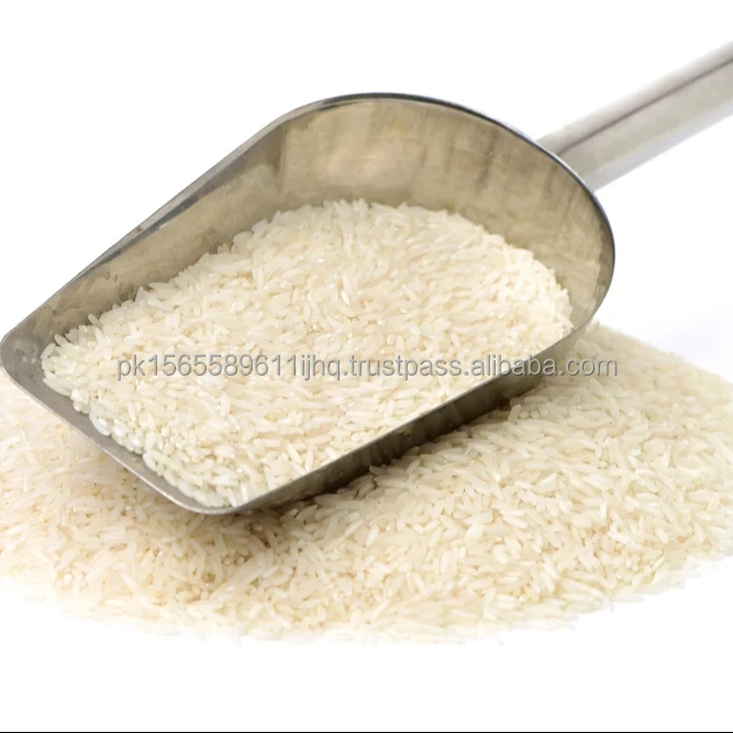 Экспортирующий высококачественный Gmo Белый Цвет Премиум риса Oem индивидуальная упаковка доступный ведущий мировой экспортер
