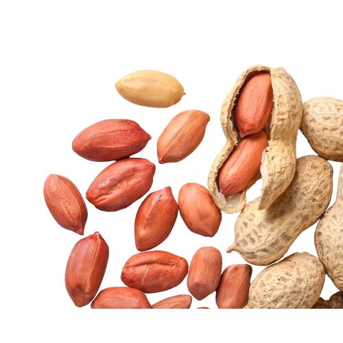 Wholesales High Quality New Product From Viet Nam Factory Price Raw White Peanut Bag 1 Ton Ready To Ship