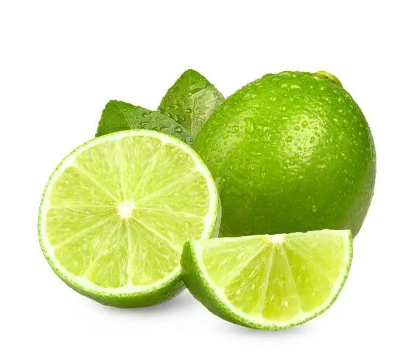 TOP GRADE Fresh Green Limes/LEMONS