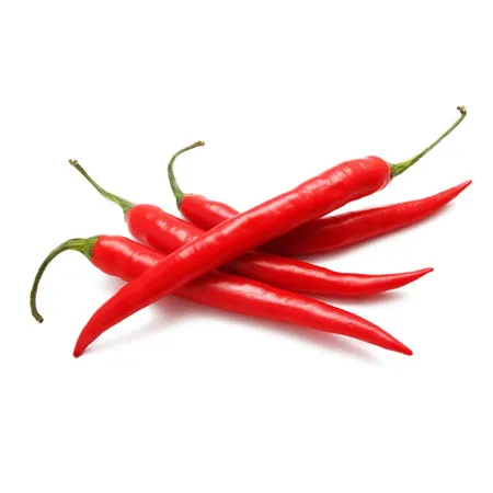 Biggest Sale Super Spicy Fresh Chili - Best Quality Organic Fresh Chili - Export from Vietnam