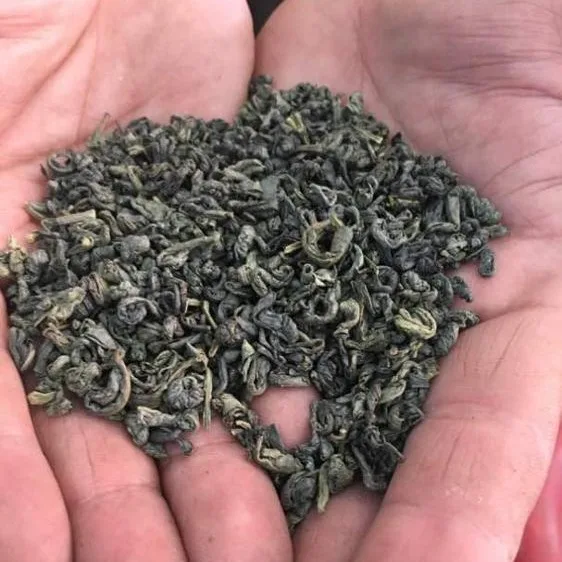 High Quality Green Tea From Vietnam - Healthy And 100% Organic Green Tea Contact Us For Best Price