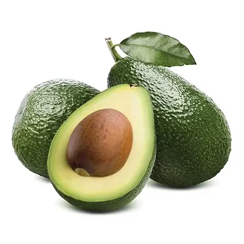 Fresh Vegetables With The Best Quality Cheap price 2024 Fresh Avocado