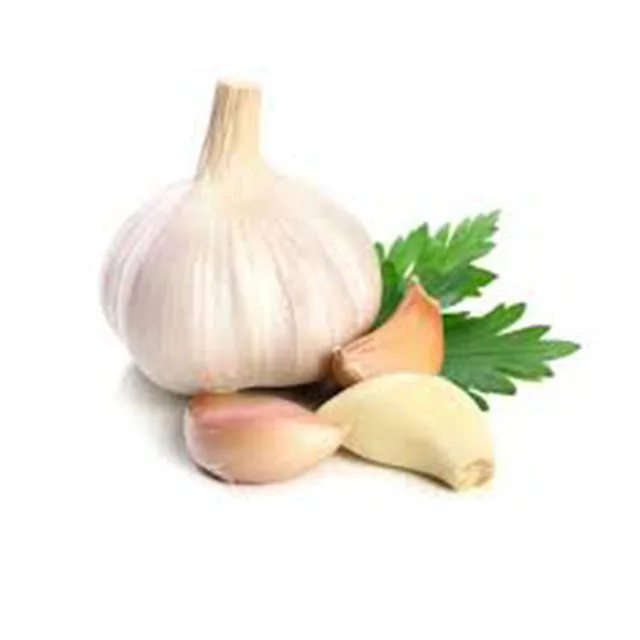 Pure White Fresh Garlic Cheap Price Snow White Garlic China Origin Super White Garlic Bulk Wholesale For Export