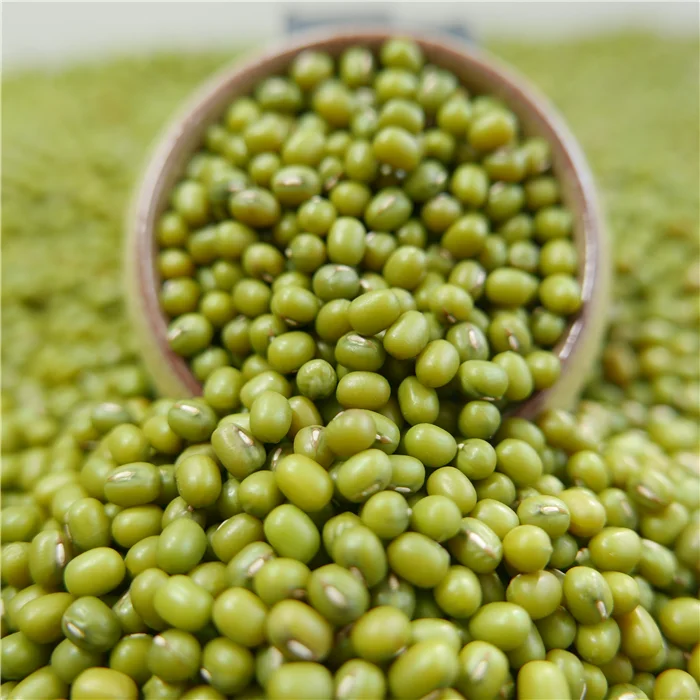 New Crop Cheap Price Green Mung Beans