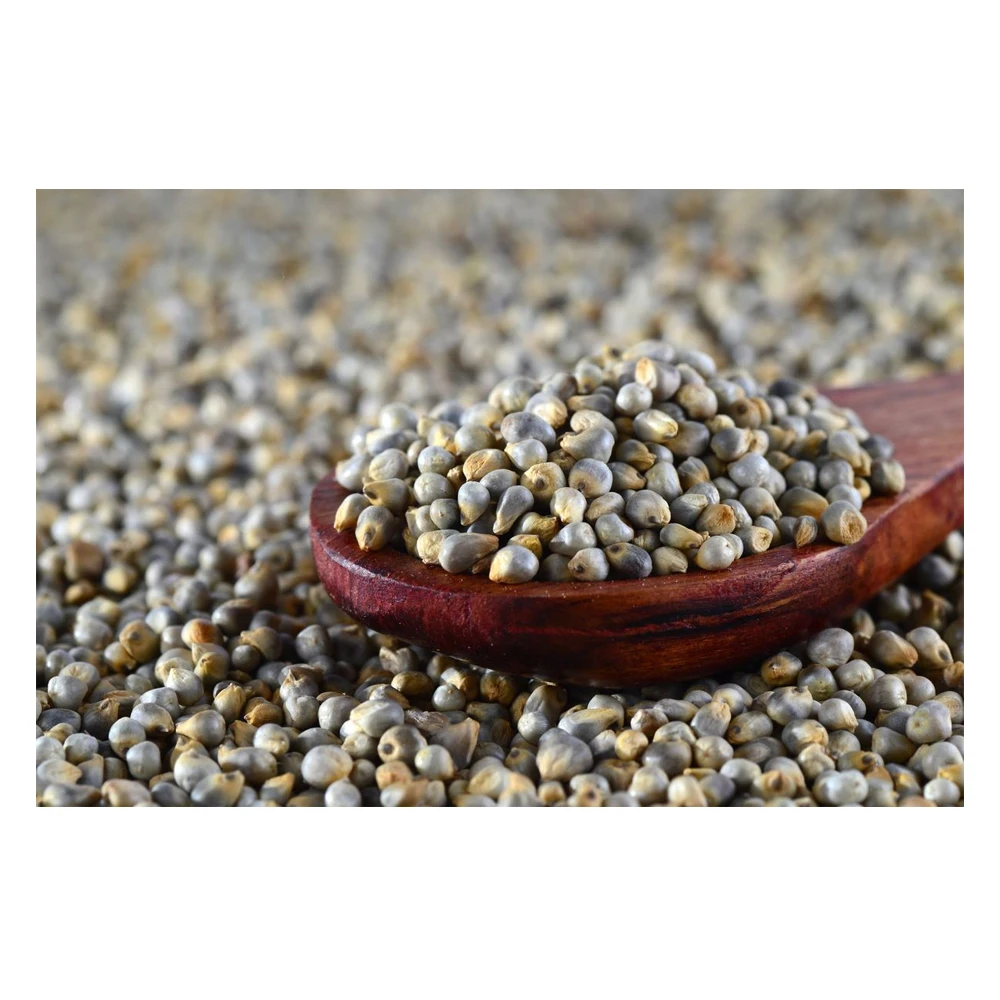 High quality yellow millet millet with shell big yellow rice (11000004156358)