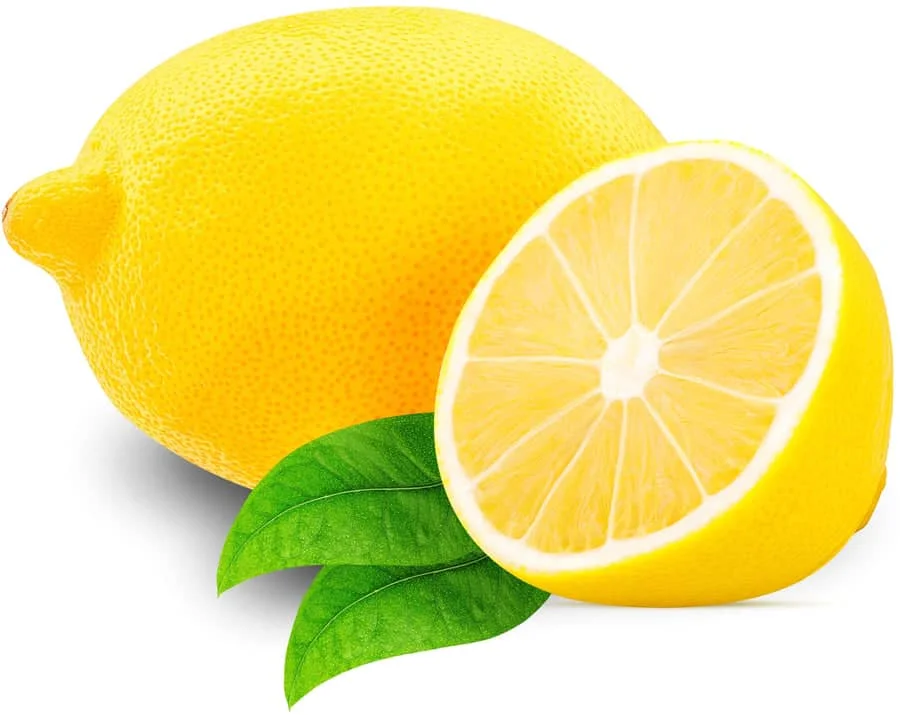 Fresh Lemon Fruits Top Sales Natural Citrus from Egypt Best quality wholesale Lemon Citrus Premium Quality Lemon for sale
