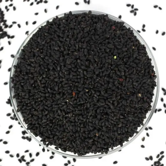 Grade 1 Basil Seeds Premium Agriculture Product