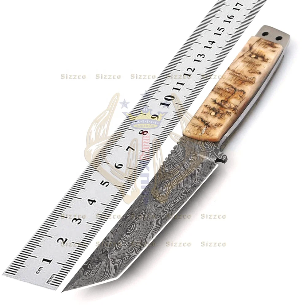 Beautiful Sizzco Handmade Damascus Steel Fixed Forged Blade Hunting Camping Skinner Tanto Knife Gift For Him Handle Ram Horn