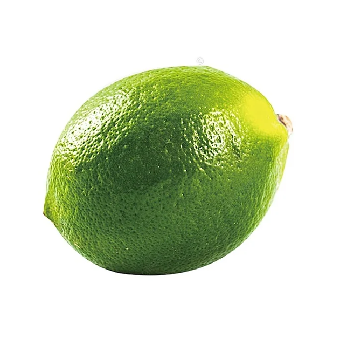Fresh Quality Premium Grade Indian Green Lemon Best Selling Fresh Citrus Fruit / Green Lemon At Affordable Price