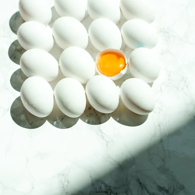 Fresh Eggs