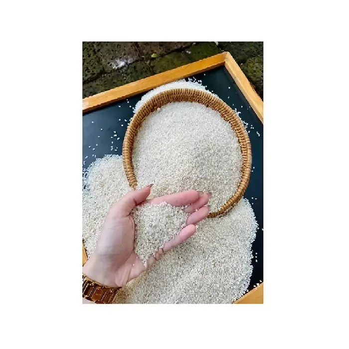 Thailand Jasmine Rice Wholesale Rice Sticks High Quality Best Price Rice