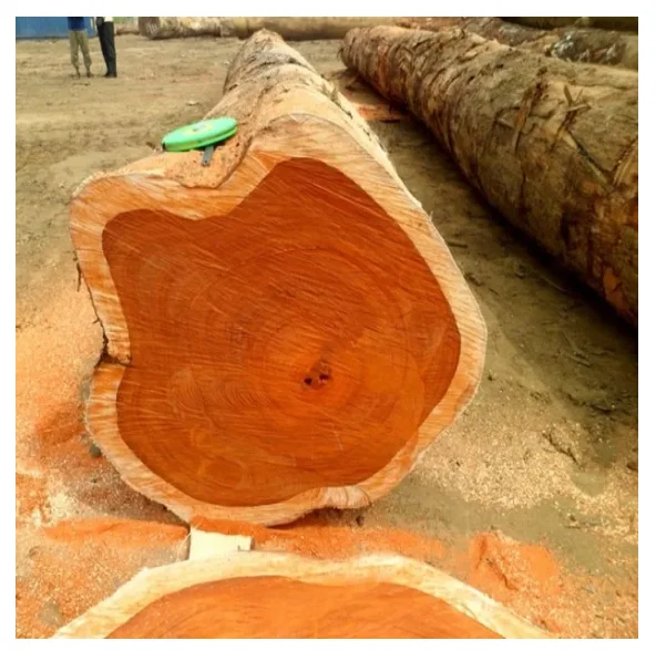 Top Selling Timber Wood