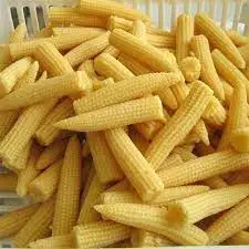 High Quality IQF Baby Sweet Corn Young Corn Cut Frozen Baby Corn Whole