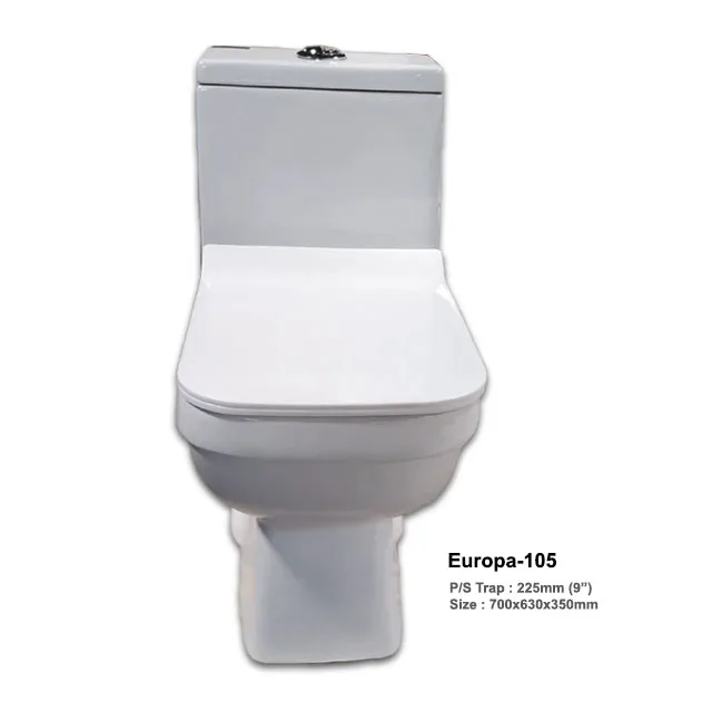 Wholesale One Piece S Trap Smart Intelligent Toilet Smart Toilet Bidet WC Toilet Seat for Bathroom Europa-105