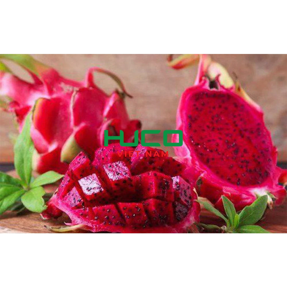 Very Cheap Price Dragon Fruit/ Wholesale Pitaya Fruit Vietnam/ Fresh Dragon Fruit