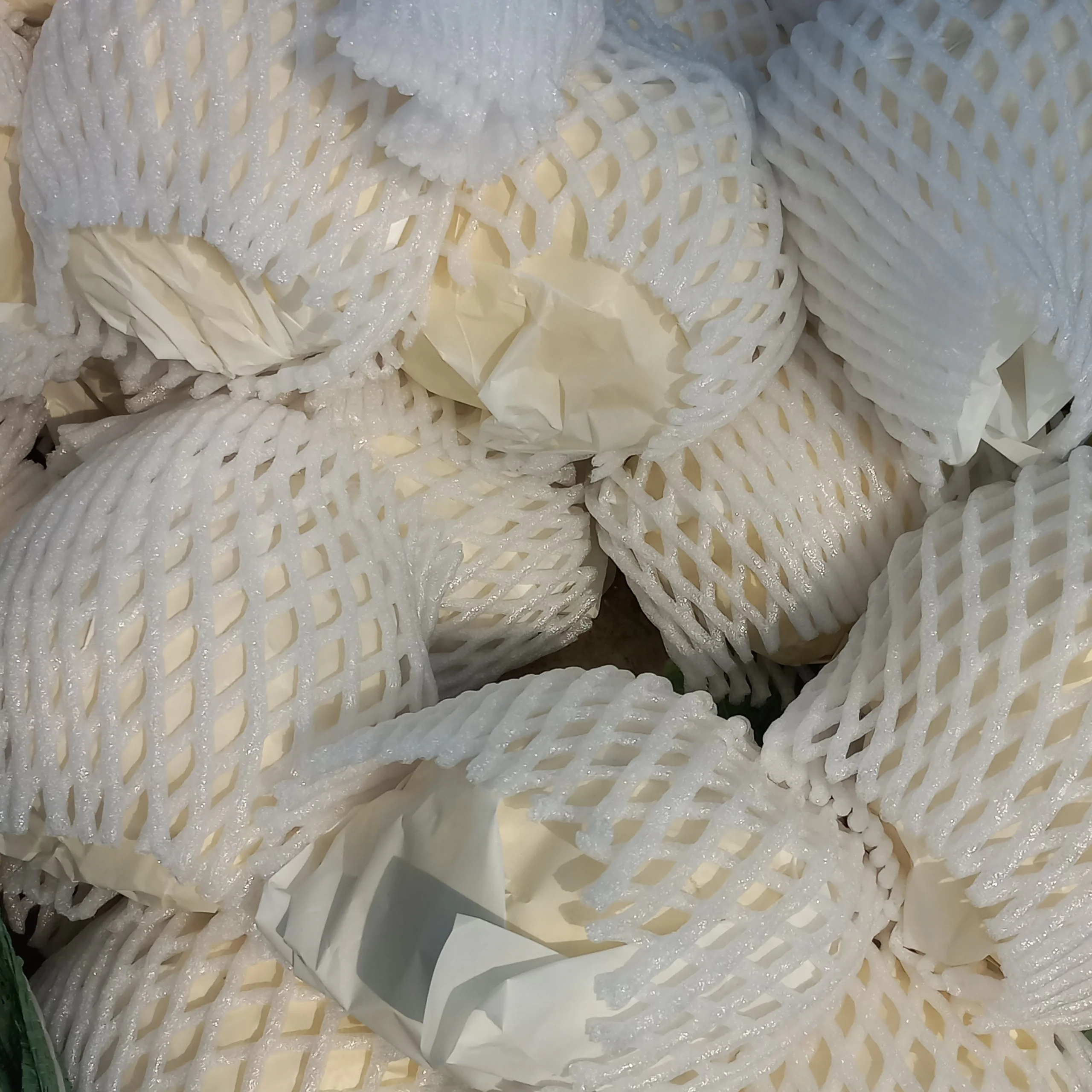 Gorgeous Fresh Cauliflower from Golden Vietnamese Supplier Certified ISO HACCP Wholesale Price