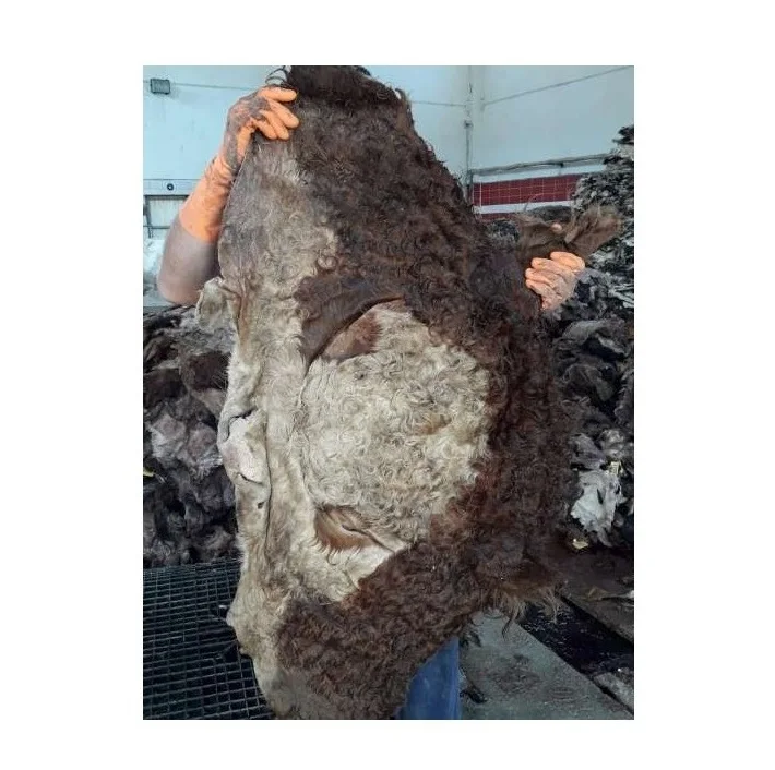 Dry And Wet Salted Cow Hides / Skins / Animal Cattle Hides  Available Here At Best Wholesale Pricing