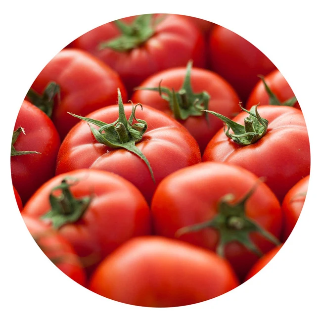 fresh tomatoes sweet red tomatoes for sale red style packaging seeds  red hybrid tomato seed