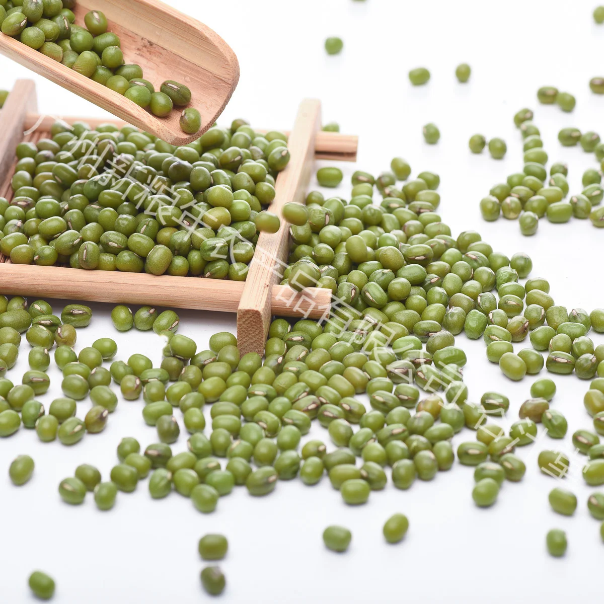 High quality, affordable plump mung beans wholesale stock
