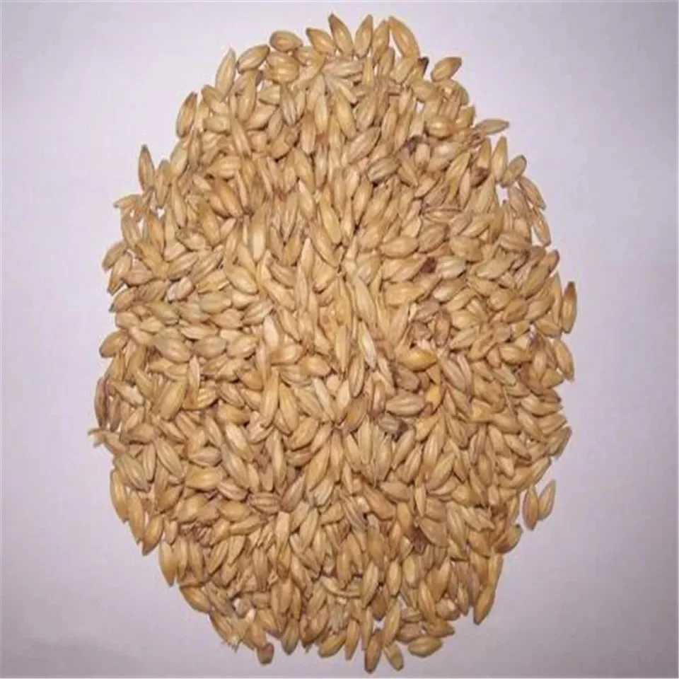 Best Barley For Animal Feed and Human