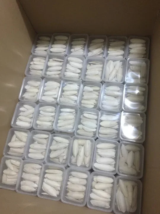 Octopus Cuttlefish Japanese squid jig Luminous Wooden Egi Shrimp Squid Hook fishing frog lure