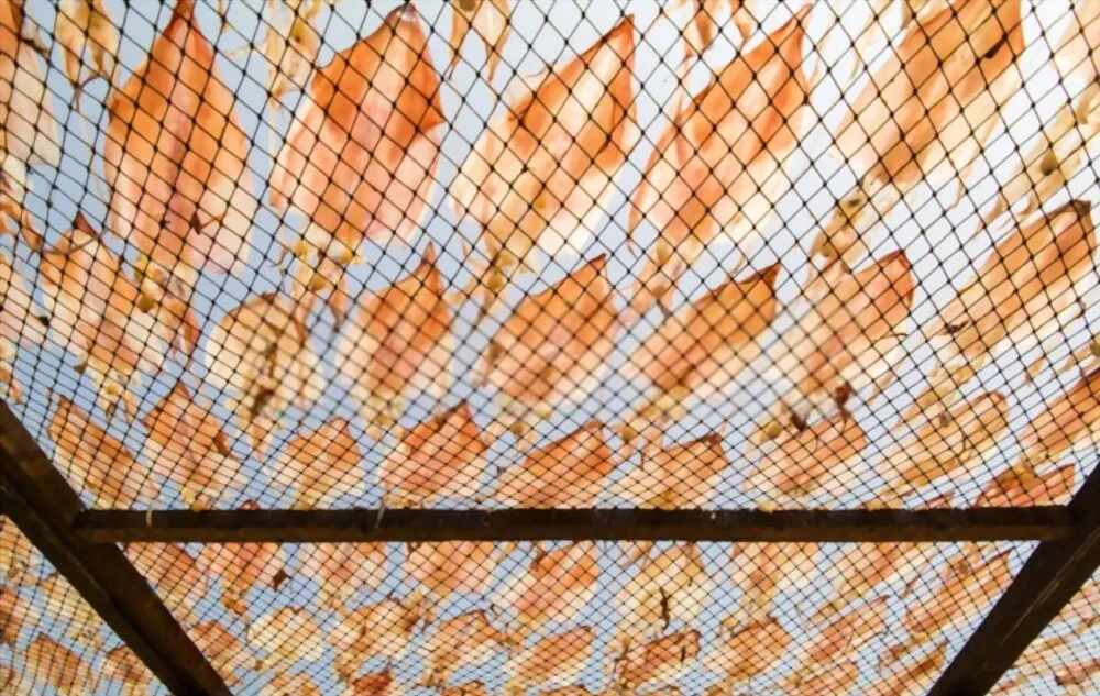 Factory Price Nutritious and Natural Dried Seafood Dried Squid Calamari  With Bulk Packaging From Vietnam