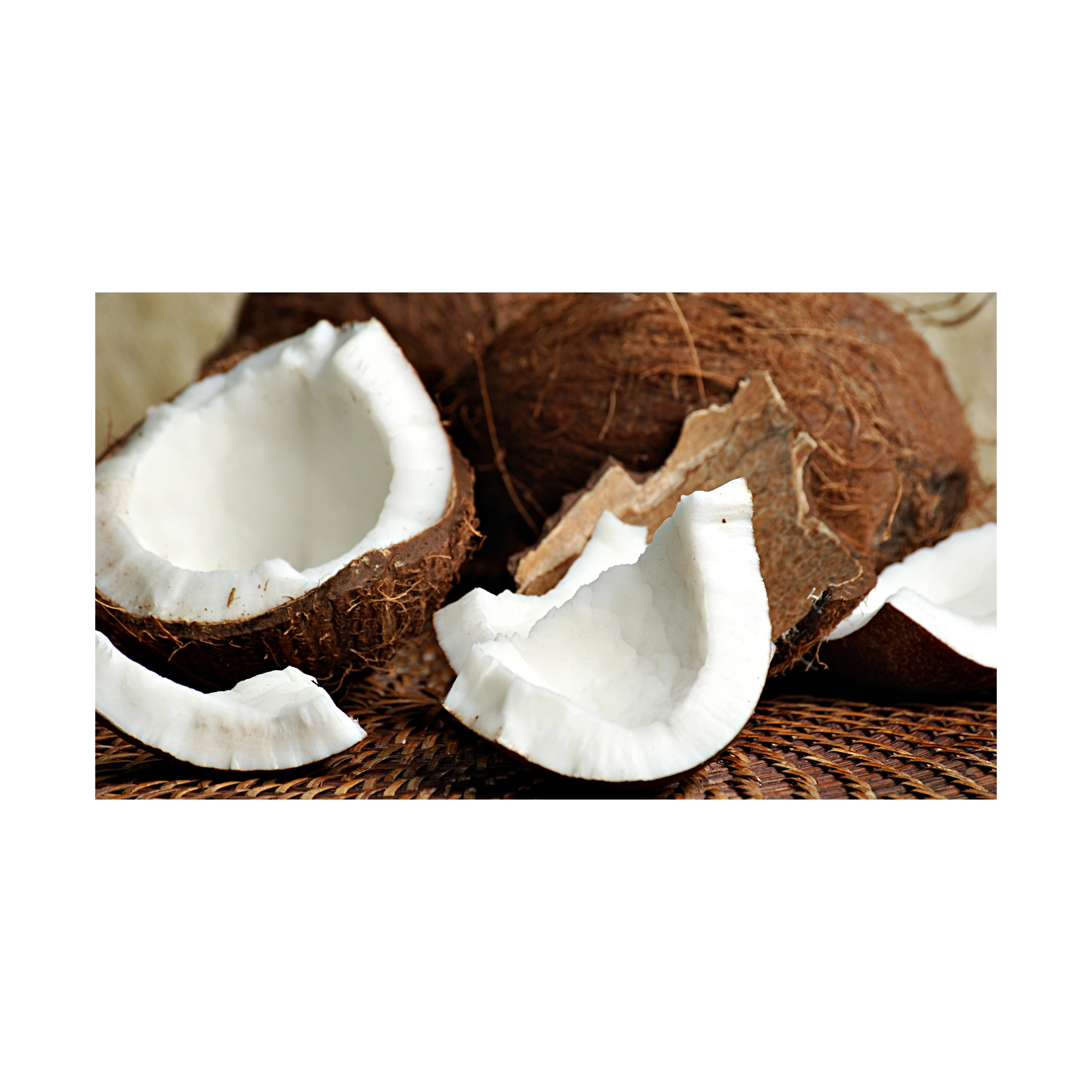 Top Quality 100% Fresh Natural Organic Desiccated Coconut Dcn For Sale