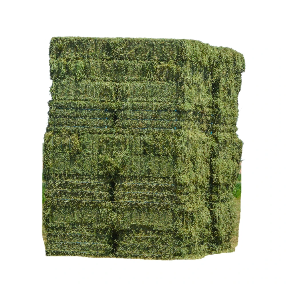 2022  Super Top Quality Alfafa Hay for Animal Feeding Stuff Alfalfa / Timothy / Alfalfa Hay for Sale