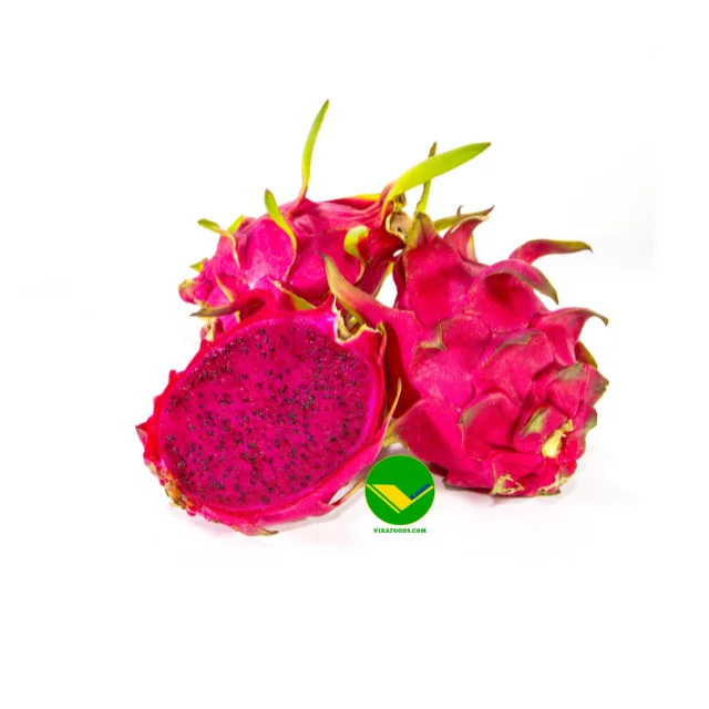 Fresh and clean Vietnamese Dragon Fruit The Perfect Choice Bringing Natural Flavor to You and buyer