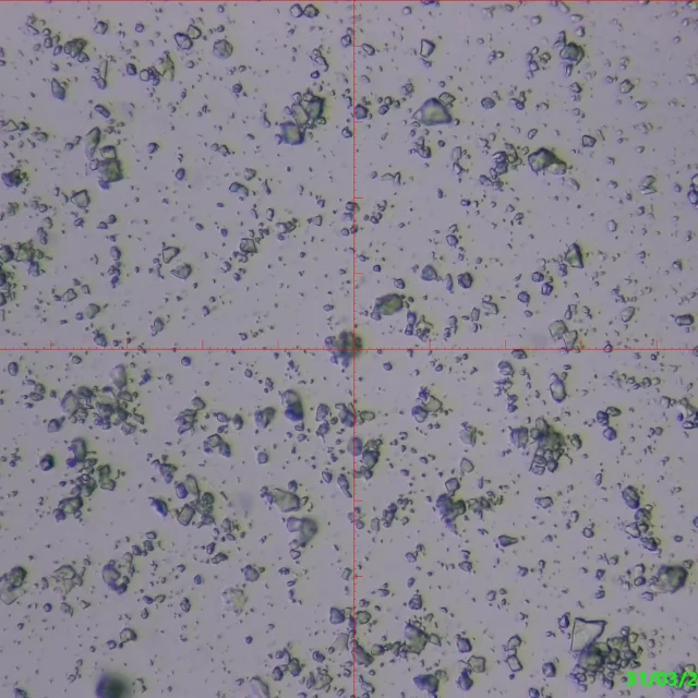 Best Price Biostimulating Fertilizer Plant Fertilizer Urea Corrective Nutrient Maxiplant For Whosale