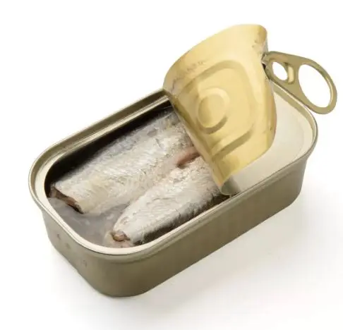 can sardine.JPG