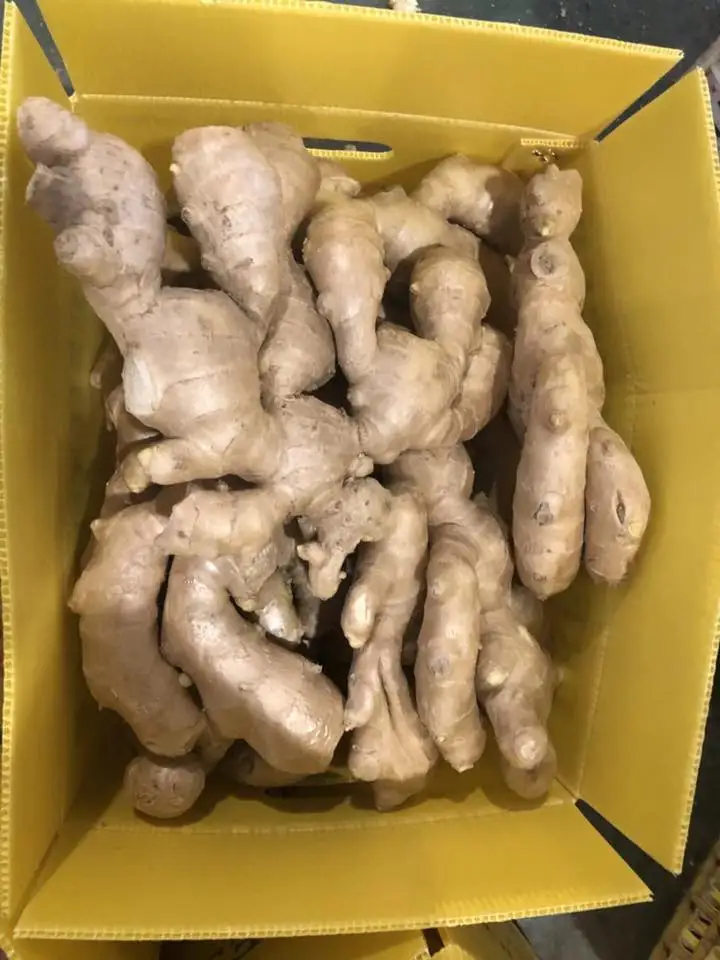 VIETNAM AIR DRY GINGER FOR WHOLESALE  CONTACT +84984418844 whatsapp