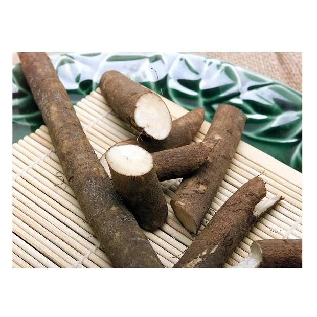 Top Quality Fresh Vegetables Burdock Root For Sale At Best Price