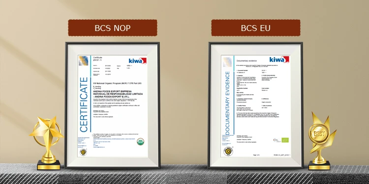 Certifications.jpg