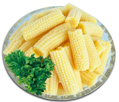 BEST QUALITY BABY CORN CAN FROM VIETNAM!!! SUPER FRESH CORN 100% NATURAL GOOD FOOD FOR YOU