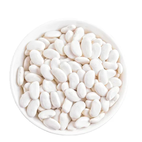 Wholesale Supplier Of Bulk Fresh Stock of Organic Dried White Kidney Beans