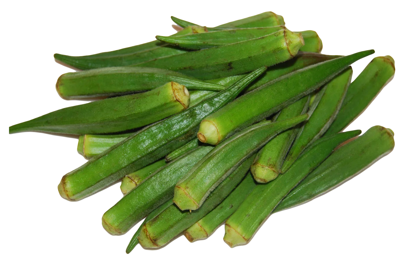 Best quality okra Clemson spineless for green okra Clemson spineless available with brand packing for green okra