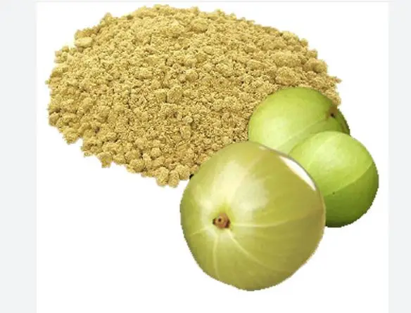 High Quality Iron Rich Amla Powder used for Body Health Wholesale Manufacturers and Exporters from India with Customized Packing