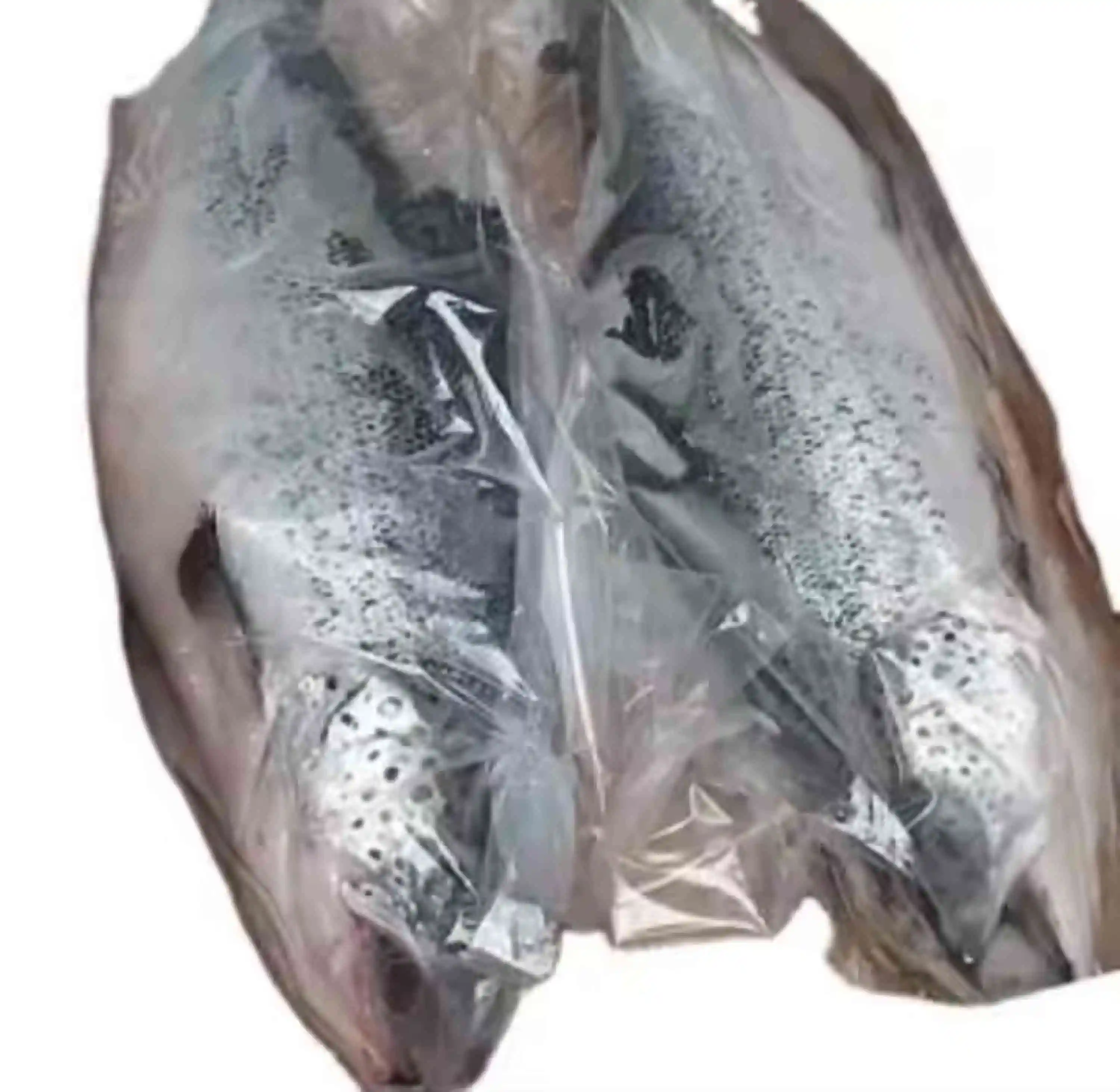 Salmon Fish Frozen Fillet Fresh And Frozen Atlantic Salmon Fish/Whole Frozen