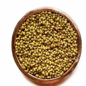 Top Quality Pure 100% Coriander Seeds wholesale Spices Herbs & Condiments Dry Coriander Seeds Coriander Seeds Bulk Price