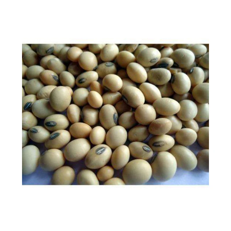 Конкурентоспособная цена от Вьетнама новейшая свежая зеленая соя/NON GMO соевое зерно с высоким содержанием белка и пищевой ценности соевый шрот