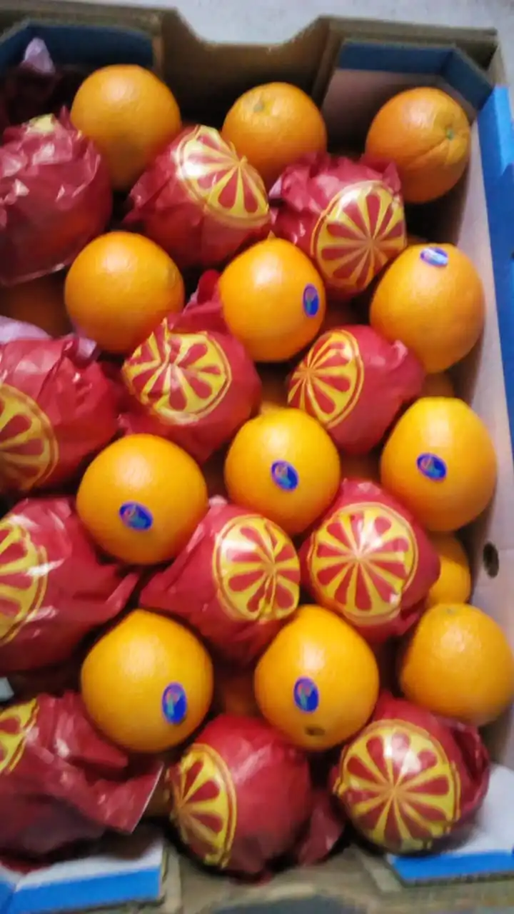 Egyptian navel Orange to India