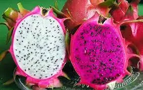 Provider of The Best Fresh Red Dragon Fruit Pink White Sweet Long Style Van Inside Organic BIG Color Small Skin Natural Origin
