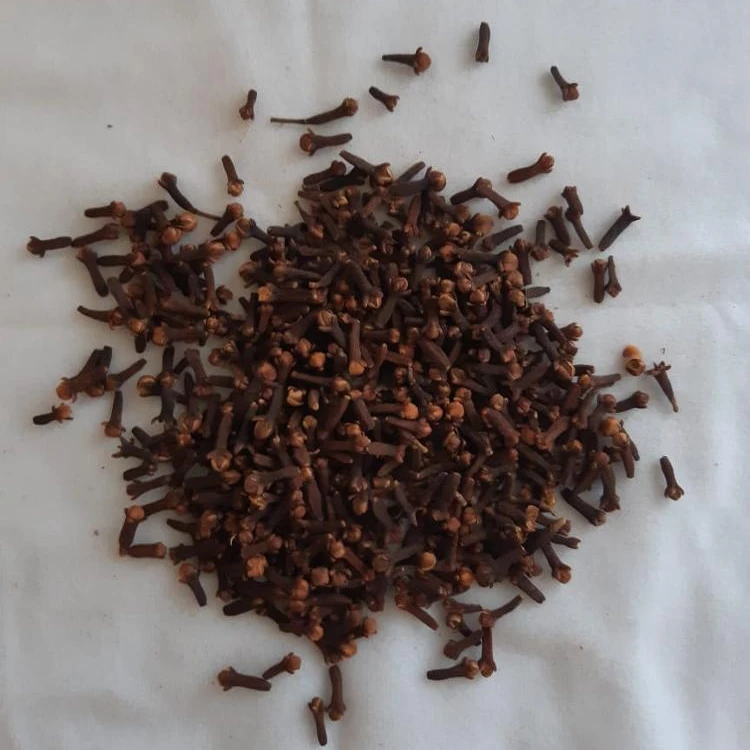 High quality Vietnamese seasoning dried cloves for food flavor wholesale organic cloves