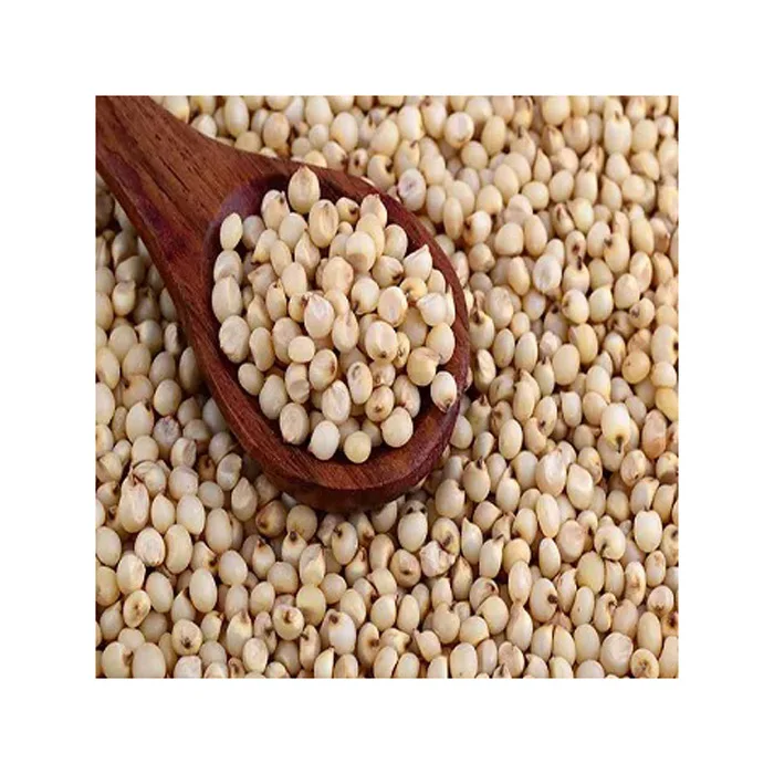 Best Quality Glutinous Red Sorghum For Human And Animal Consumption