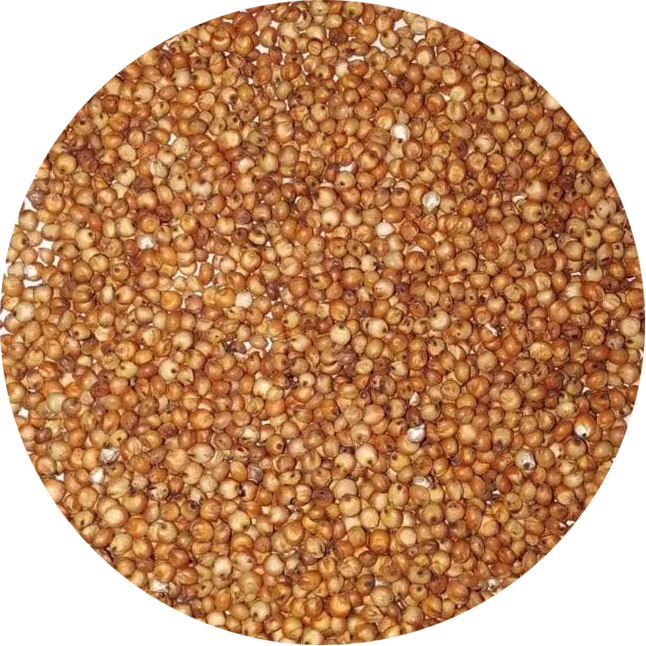 Organic Sorghum  Indian Sorghum/ White and Red Sorghum High Quality For Sale NOw